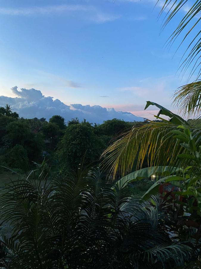 The Pancor Jungle Resort Ped Eksteriør billede