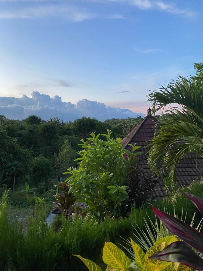 The Pancor Jungle Resort Ped Eksteriør billede